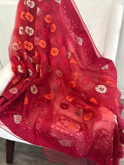 Gorgeous Organza Embroidered Saree