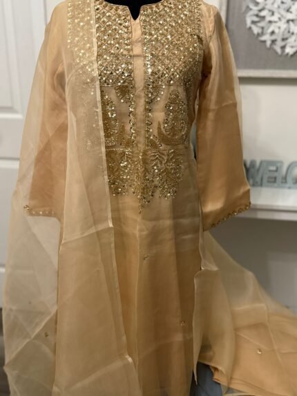 Muslin Salwar Suit